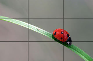 Ebook Fotografía con Smartphone